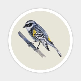 Yellow Rumped Warbler painting (no background) Magnet